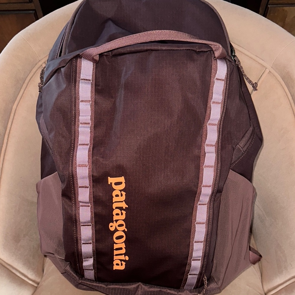 Patagonia black hole 32l